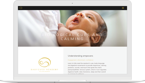 Bio-logical Cues and calming