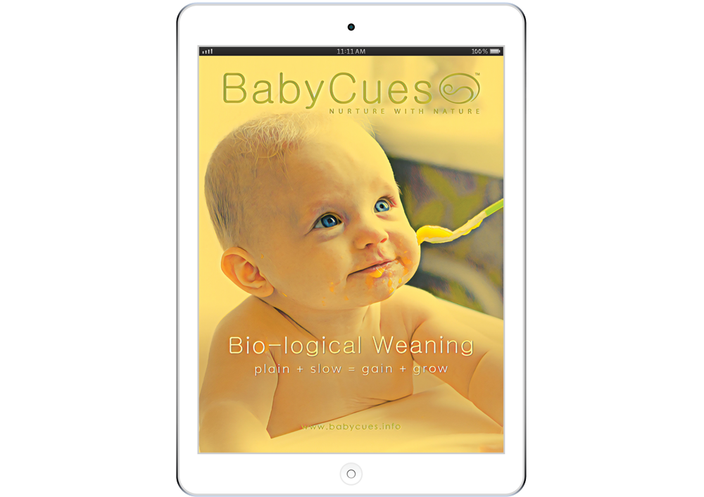 solids weaning solids weaning