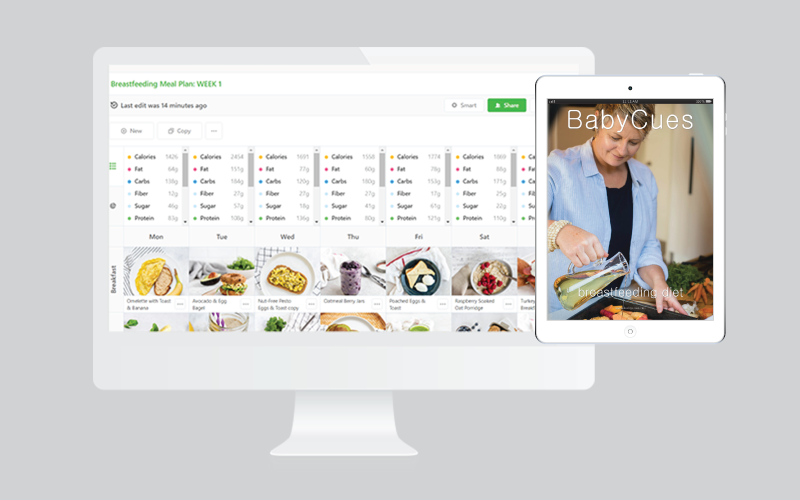 Image of Breastfeeding Meal Plan